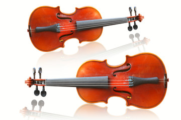 Violin on white background