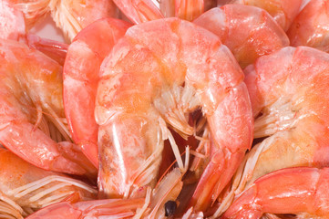 Raw prawns background