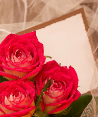 Beautiful roses with banner add