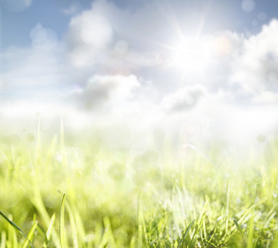 Grass and sky spring background