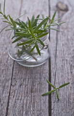 Fresh rosemary