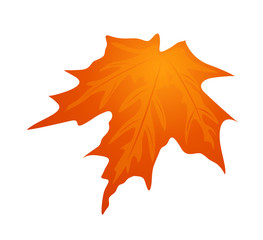 vector icon leaf