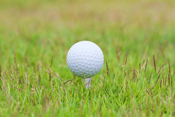 Golf ball on tee over a blurred green
