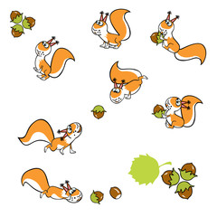 squirrels with hazelnuts