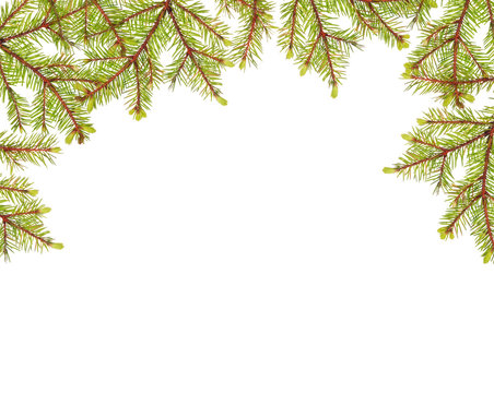 green fir branches half frame isolated on white