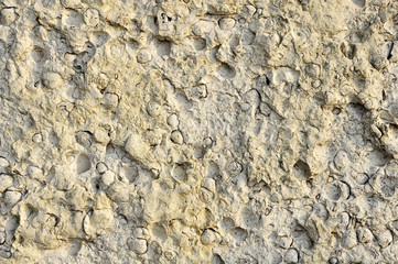 stone texture
