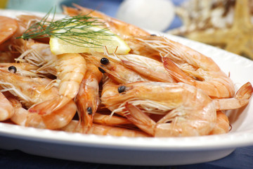 crevettes