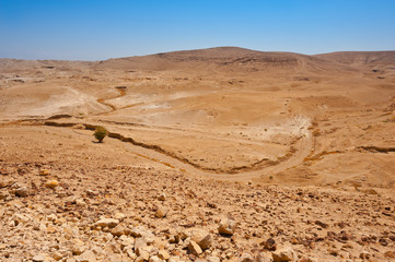 Desert