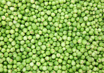 The plenty of Pea Eggplants  in Thailand market