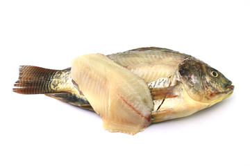 Tilapia slash on white background