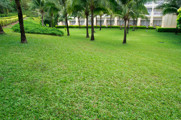 Obraz premium Garden
