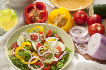 vegetarian diet