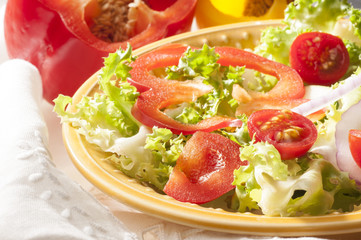 vegetarian diet