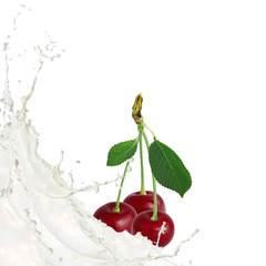 Milk splash with cherries isolated on white