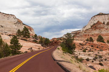 Road through Zion national park in Utah