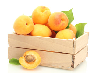 ripe apricots with green leaves in wooden box isolated on white