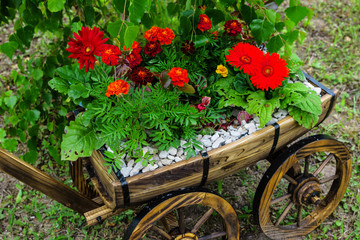 Fototapeta na wymiar old garden cart with flowers