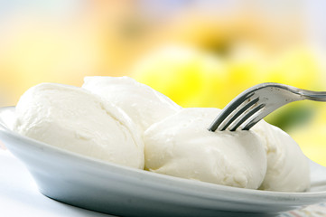 mozzarella
