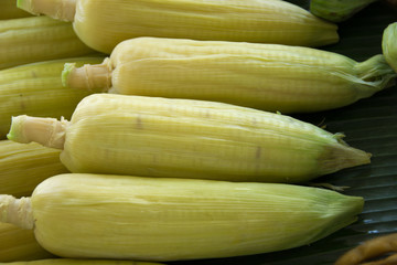 Sweet Corn boiled, Maize
