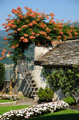 Pergolato a Orta - (No)