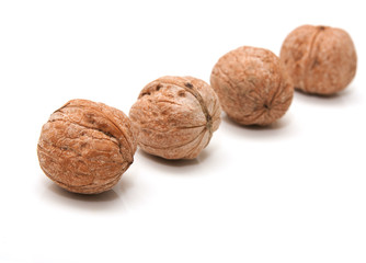 Walnut on a white background