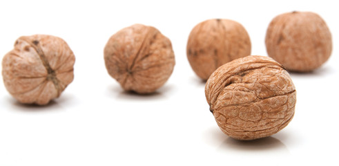 Walnut on a white background