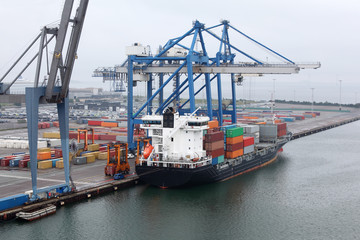 Fototapeta premium Cargo ship in Copenhagen seaport at misty morning, Denmark;