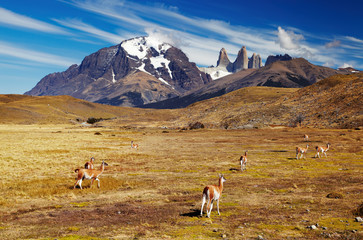 Torres del Paine, Patagonia, Chile