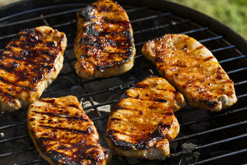 Pork fillets on the garden grill