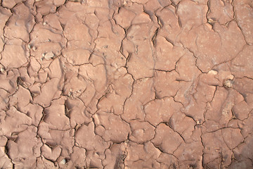 Dried cracked earth