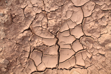 Dried cracked earth