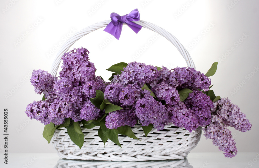 Wall mural beautiful lilac flowers in basket isolated on white