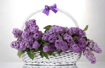 beautiful lilac flowers in basket isolated on white