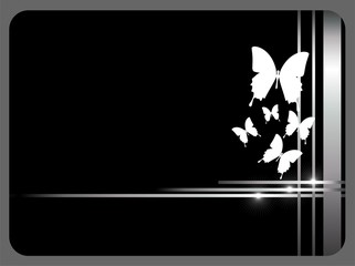 black card with butterflies