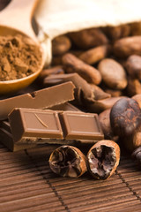 Cocoa (cacao) beans with chocolate