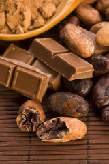 Cocoa (cacao) beans with chocolate