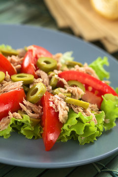 Fresh tuna, tomato and green olive salad on lettuce leaf
