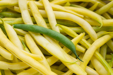 green pod on yellow haricot background