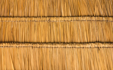 Thatched roof  straw