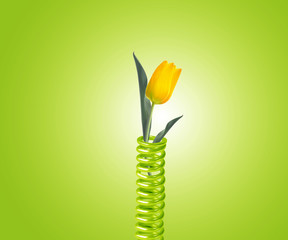 metal spring