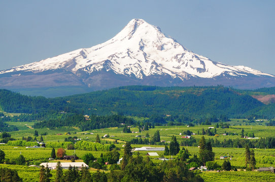 Mount Hood And Hood River Valley