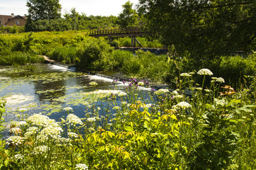 Река . Пейзаж России