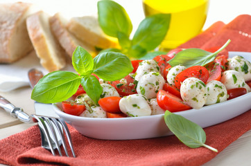 Leckerer Tomaten-Mozzarella-Salat mit frischem Basilikum