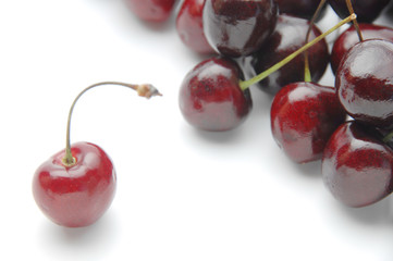 アメリカンチェリー