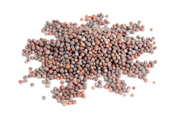 Black Mustard Seeds Isolated on White Background