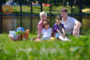 Happy family playing together in a picnic outdoors