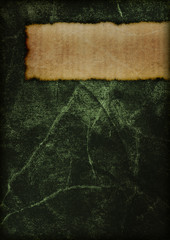 Mysterious book cover - green