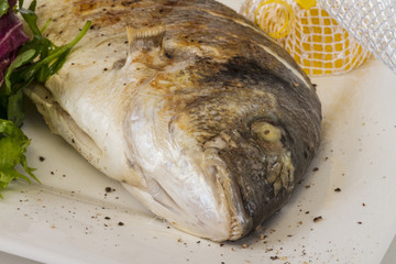 Dorada fish with salad on the white plate. Studio shot