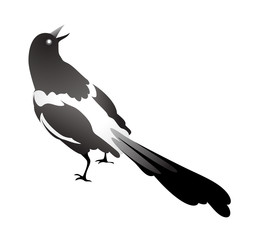 vector icon bird