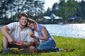 happy young couple having a picnic outdoor